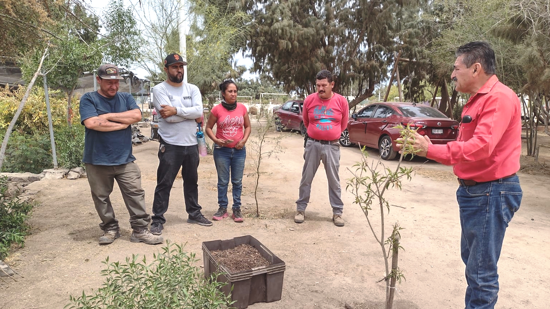 Capacitan A Personal En El Manejo De Plantas En Areas Verdes Y Viveros2