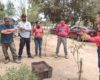 Capacitan A Personal En El Manejo De Plantas En Areas Verdes Y Viveros2