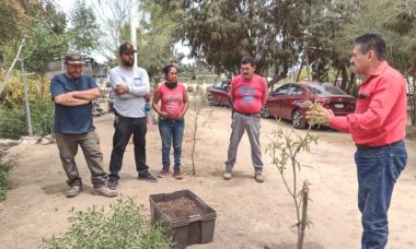 Capacitan A Personal En El Manejo De Plantas En Areas Verdes Y Viveros2