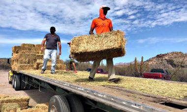 Foto Boletin Sepada 172 Apoyos Sequia