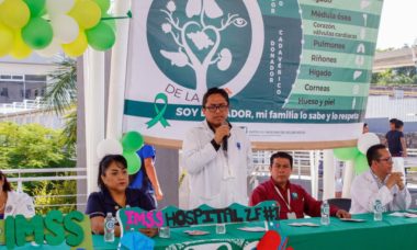 Imss Organos