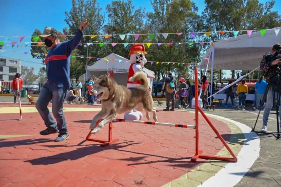 Parque Mundo Canino Tlahuac 1 Focus 0 0 955 636