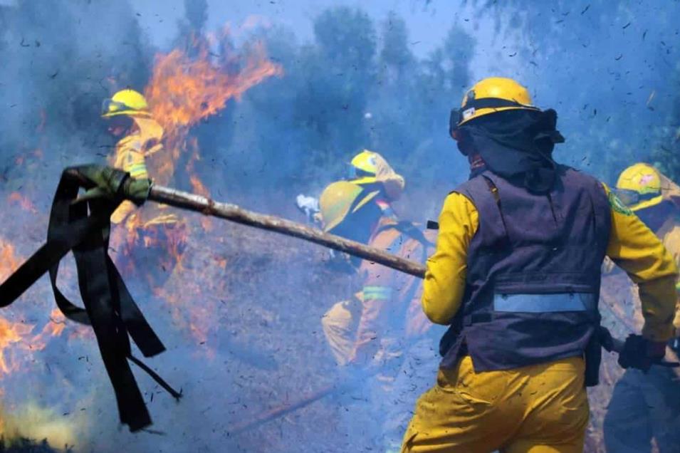 Atienden 20 Incendios Este Fin Semana Cdmx Focus 0 0.87 955 636