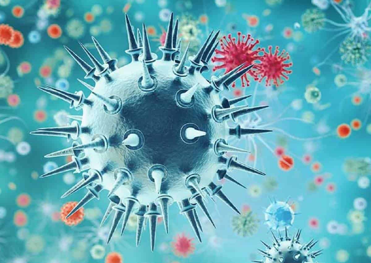 Otro Virus Detectan Influenza Aviar Ah5n1 En Mexico