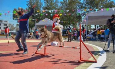 Parque Mundo Canino Tlahuac 1 Focus 0 0 955 636