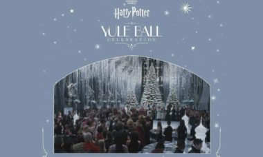 Yule Ball Harry Potter Focus 0 0 955 636