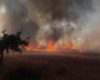 Aumentan Incendios En Coahuila Focus 0 0 955 636