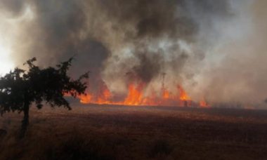 Aumentan Incendios En Coahuila Focus 0 0 955 636