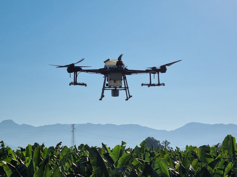 Estudian Uso De Drones Para Combatir Sigatoka En Banano A