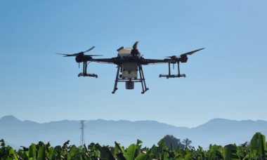 Estudian Uso De Drones Para Combatir Sigatoka En Banano A