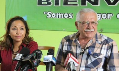 Gran Avance Democratico De Aprobarse La Reforma Electoral En Mexico Arnoldo Vizcaino