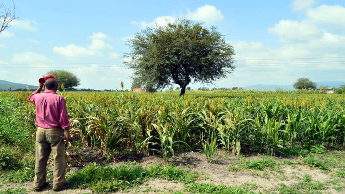 Agua Contaminada 1