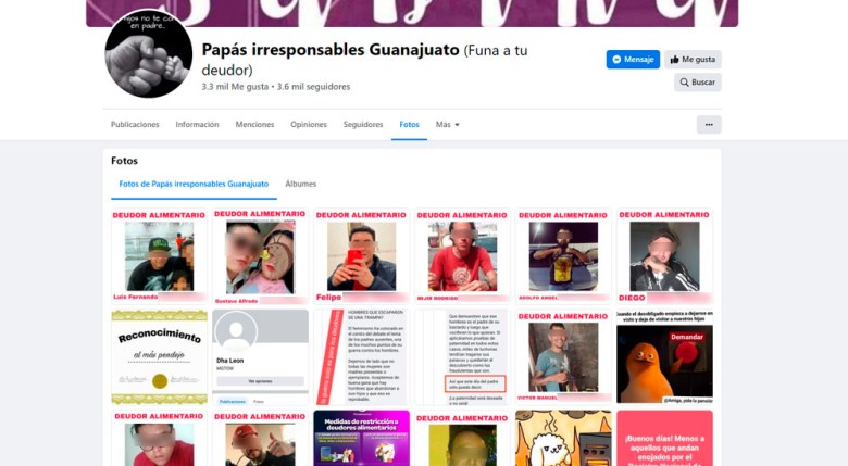 Papas Irresponsables De Guanajuato