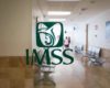 Imss