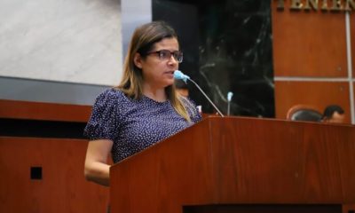 Proponen En El Congreso Un Exhorto Al Ayuntamiento De Acapulco Para Regular El Comercio Ambulante