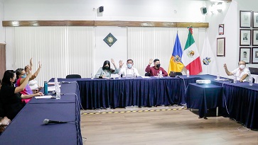 Junta De Gobierno Del Instituto Vallartense De Cultura2