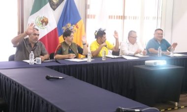 Comision Edilicia De Proteccion Civil Gestion De Riesgos Y Bomberos1