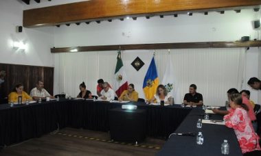 Comisiones Unidas2