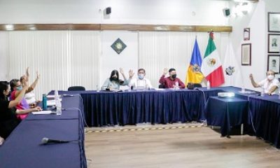 Junta De Gobierno Del Instituto Vallartense De Cultura2