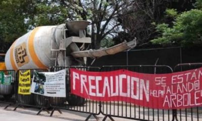 Suspenden Tala De Arboles En Parque De Guadalajara Focus 0 0 955 636