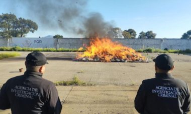 Incineracion Marihuana Jalisco Cover