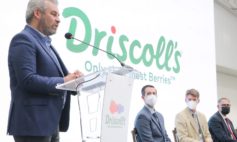 120122 Inaugura Bedolla Frigorc3adfico De Driscolls Con Inversic3b3n De 500 Mdp 2