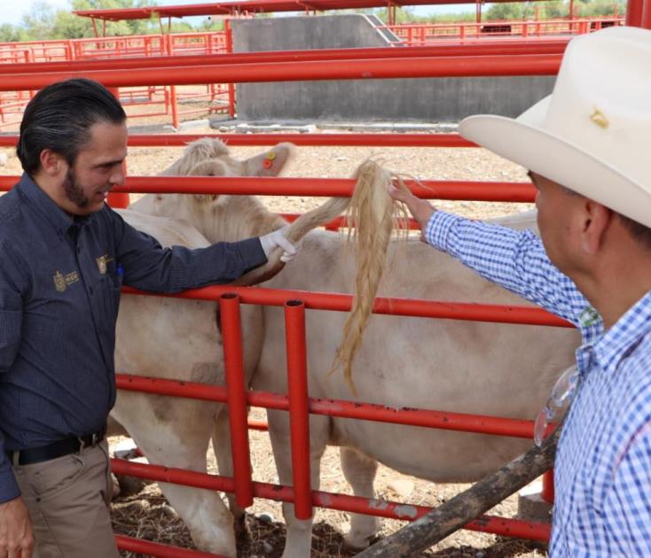 Aplican Pruebas A Hatos 1