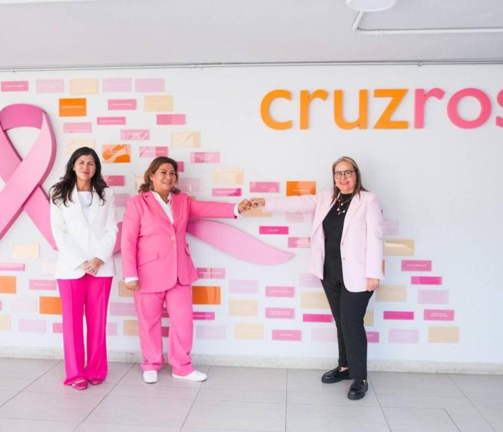 Convenio Iemujeres Cruz Rosa 1