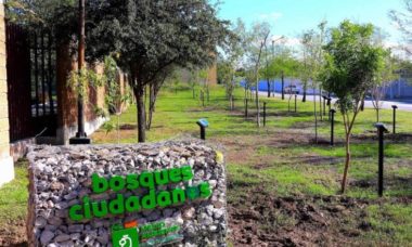 Arboretum Allende 2