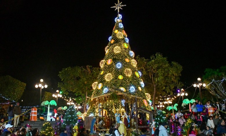 Arbol Navidad Amealco 7