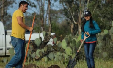 Concluyen Jornadas De Reforestacion Con Mas De 12 Mil Arboles Plantados 3