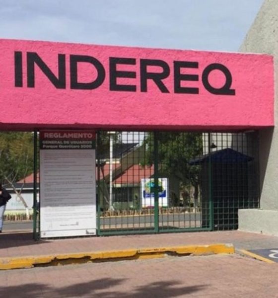 Indereq