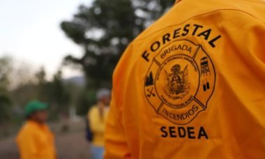 Sedea Trabajos Prevencion Incendios3