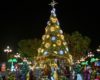 Arbol Navidad Amealco 7