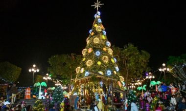 Arbol Navidad Amealco 7