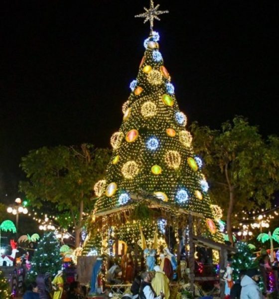 Arbol Navidad Amealco 7