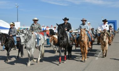 Cabalgata De La Virgen 2