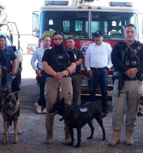 Seguridad Feria San Juan 2024 1