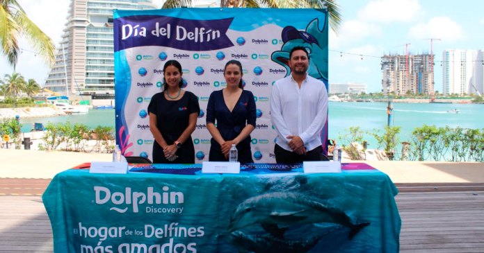 Anuncian Actividades Con Motivo Del Dia Del Delfin P