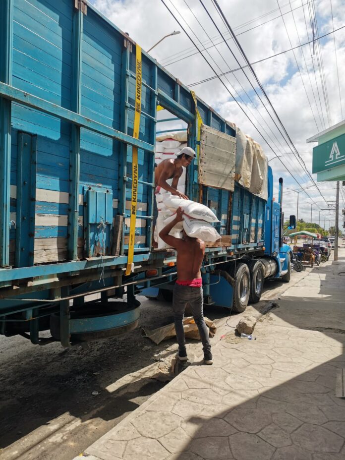 Dan Fertilizantes Para Productores En La Peninsula De Yucatan 696x928 1