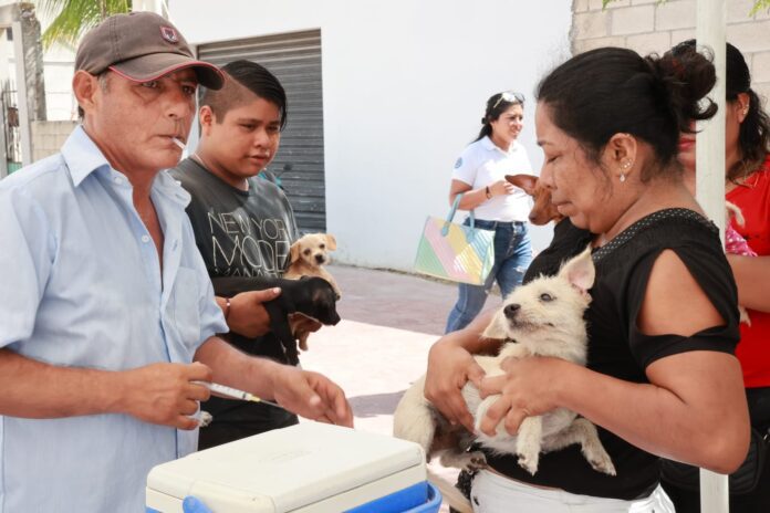 Aplican Jornada De Vacunacion Antirrabica En Zona Continental 696x464 1