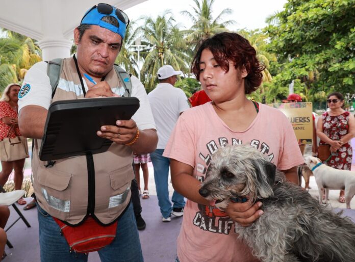 Celebran En Isla El Dia Mundial Del Perro Con Jornada De Vacunacion 696x514 1