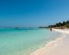 Atenea Gocc81mez Mantiene Limpias Y Libres De Sargazo Las Playas De Isla Mujeres 696x365 1