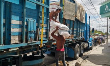 Dan Fertilizantes Para Productores En La Peninsula De Yucatan 696x928 1