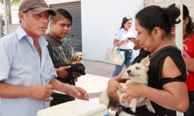 Aplican Jornada De Vacunacion Antirrabica En Zona Continental 696x464 1