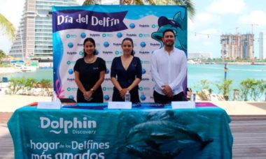 Anuncian Actividades Con Motivo Del Dia Del Delfin P