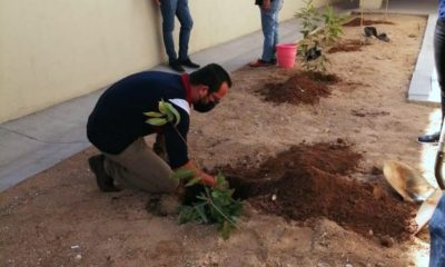 03 Con El Fin De Contribuir A La Salud Publica Y Del Medio Ambiente Se Realiza Jornada De Reforestacion En Los Cabos3