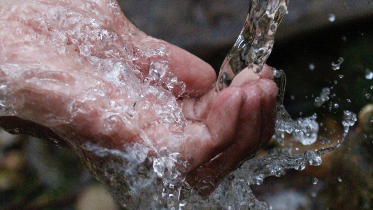 Agua Baja California Sur Restauranteros