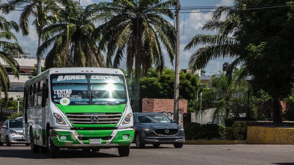 Transporte Publico 1