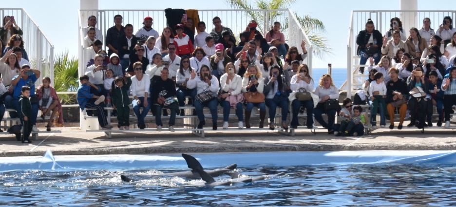 Conmemoran Dia Internacional De Las Personas Con Discapacidad En Delfinario Sonora